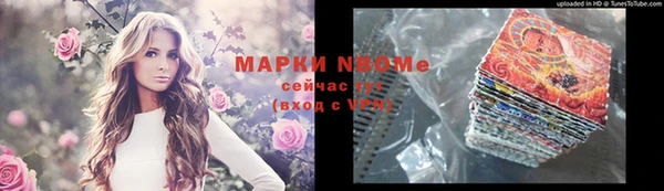 ПСИЛОЦИБИНОВЫЕ ГРИБЫ Вязники