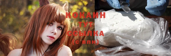 ПСИЛОЦИБИНОВЫЕ ГРИБЫ Вязники