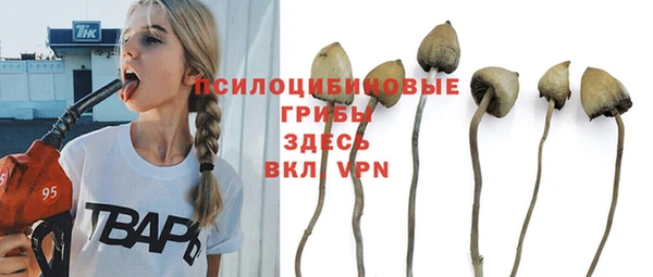 mix Вяземский