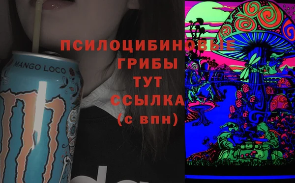 ПСИЛОЦИБИНОВЫЕ ГРИБЫ Вязники