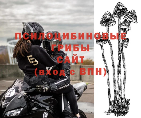 ПСИЛОЦИБИНОВЫЕ ГРИБЫ Вязники