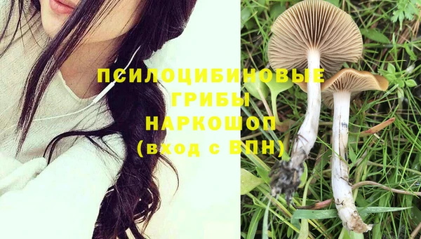 mix Вяземский