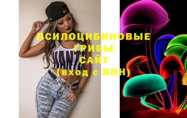 mix Вяземский