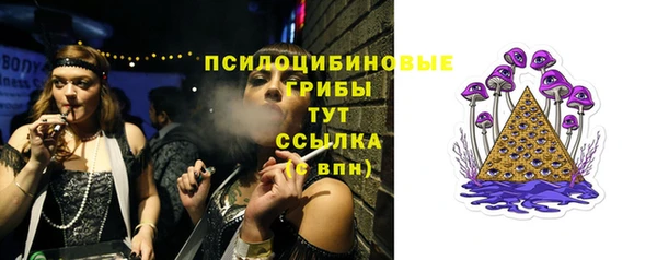 mix Вяземский
