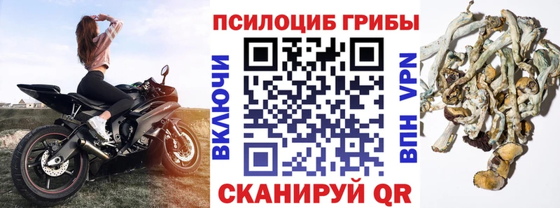 Псилоцибиновые грибы мухоморы  mega ТОР  Пикалёво 